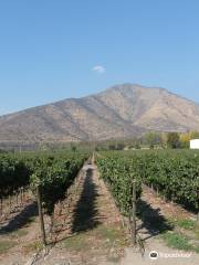 Maipo Alto Wine Route