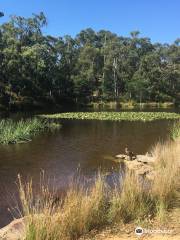 Candlebark Walk Reserve