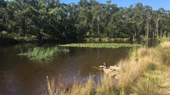 Candlebark Walk Reserve