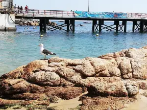 Caleta el Quisco