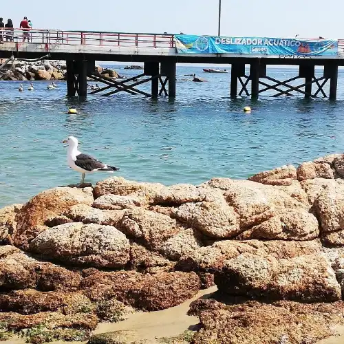 Caleta el Quisco