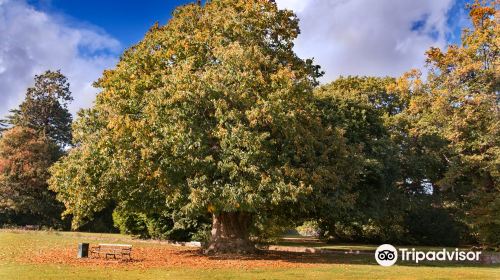 Cranford Country Park