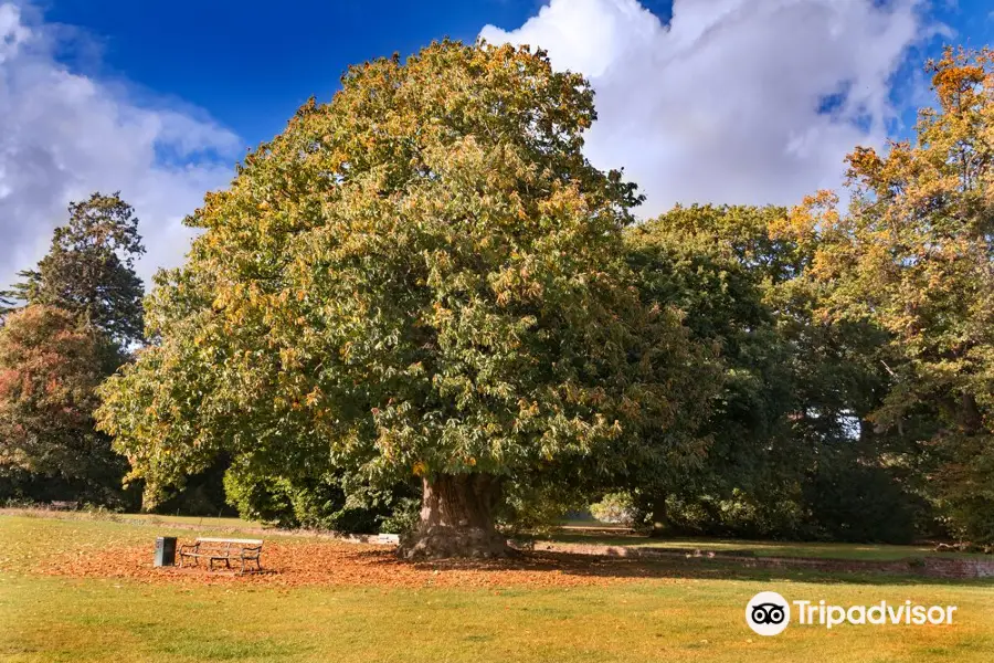 Cranford Country Park