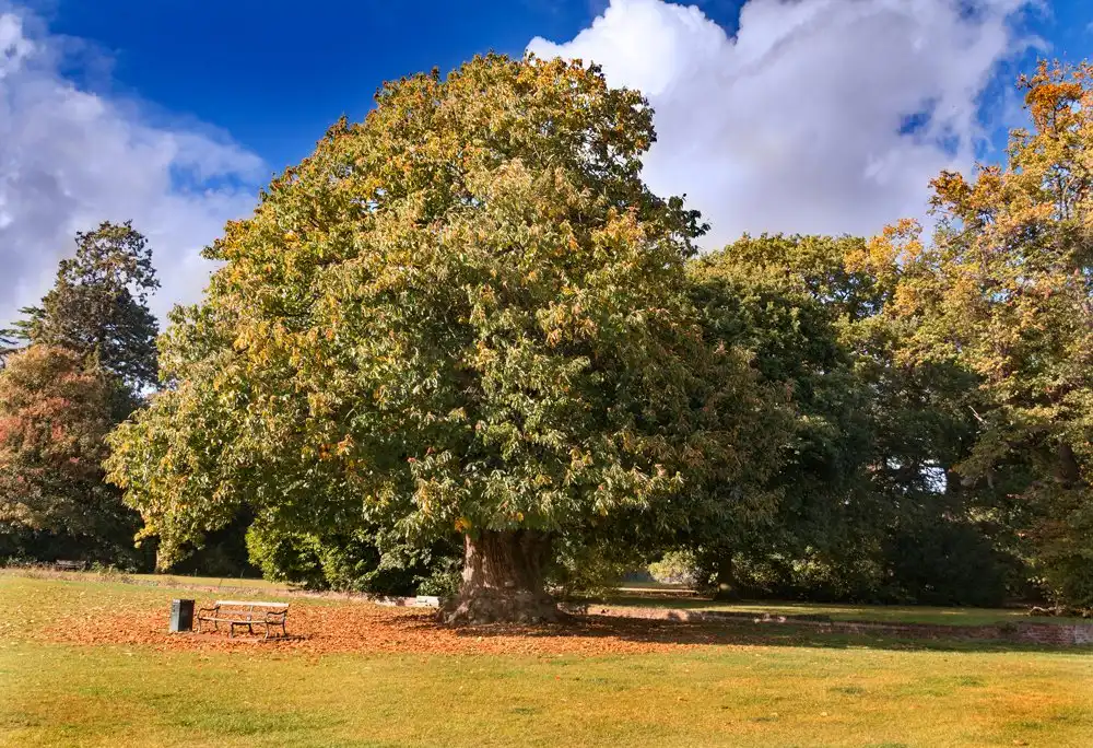 Hotels near Cranford Country Park (Cranford Park)