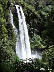 Refugio Ecológico Molinuco