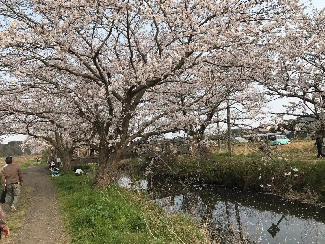 Imai no Sakura 주변 호텔