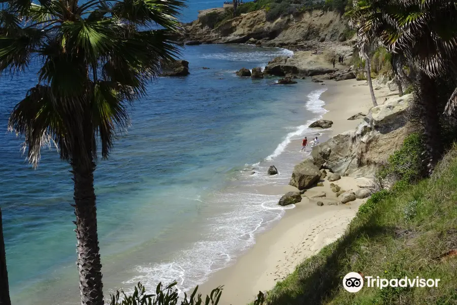 Glenn E. Vedder Ecological Reserve - Underwater Park and Tidepools