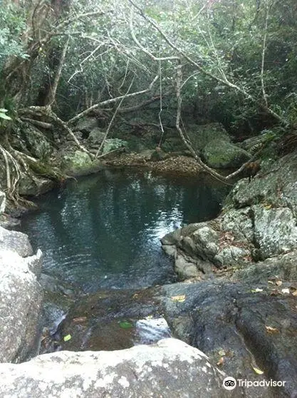 Brandy Creek Adventures