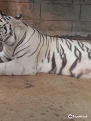 エンペラー・バレー動物園