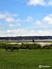 Sandwich and Pegwell Bay National Nature Reserve