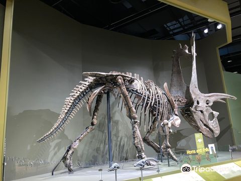 Sam Noble Oklahoma Museum of Natural History