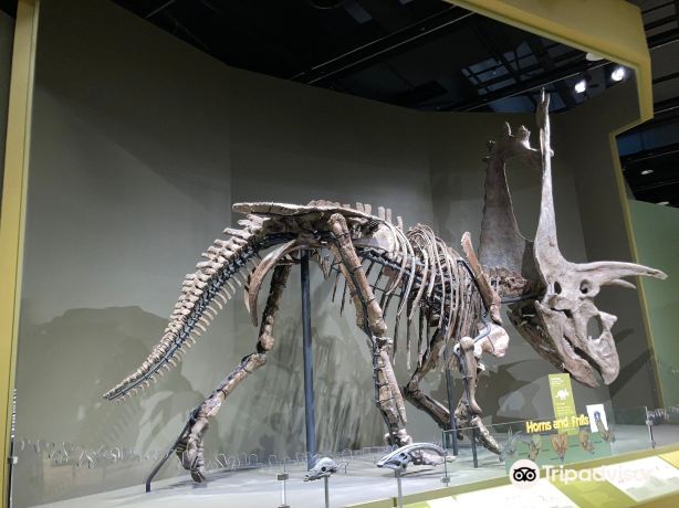 Sam Noble Oklahoma Museum of Natural History