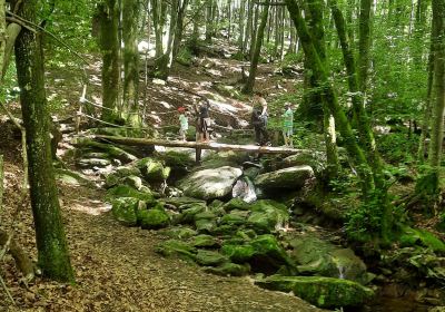 Sentier de l'enfant sauvage