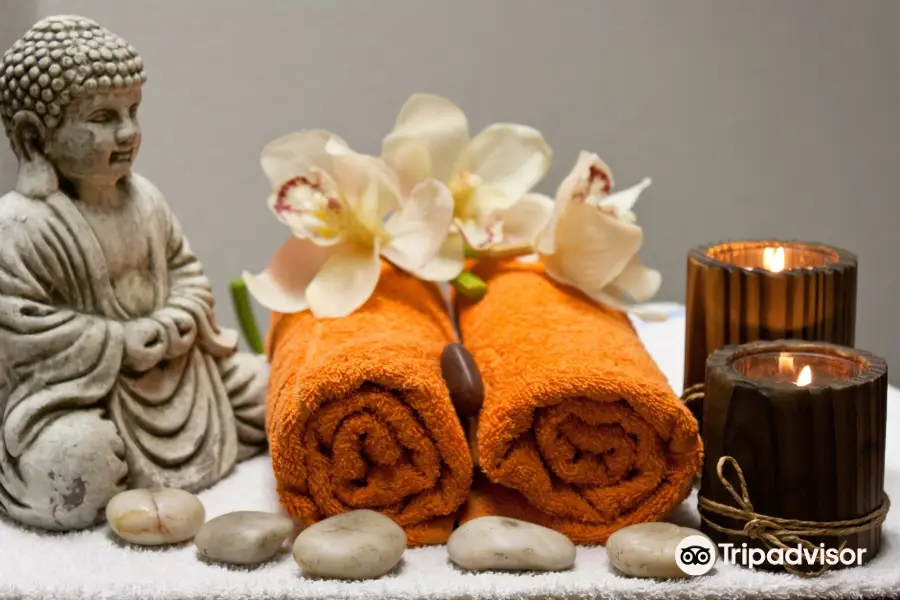 Heaven & Earth Ayurvedic Wellness Spa