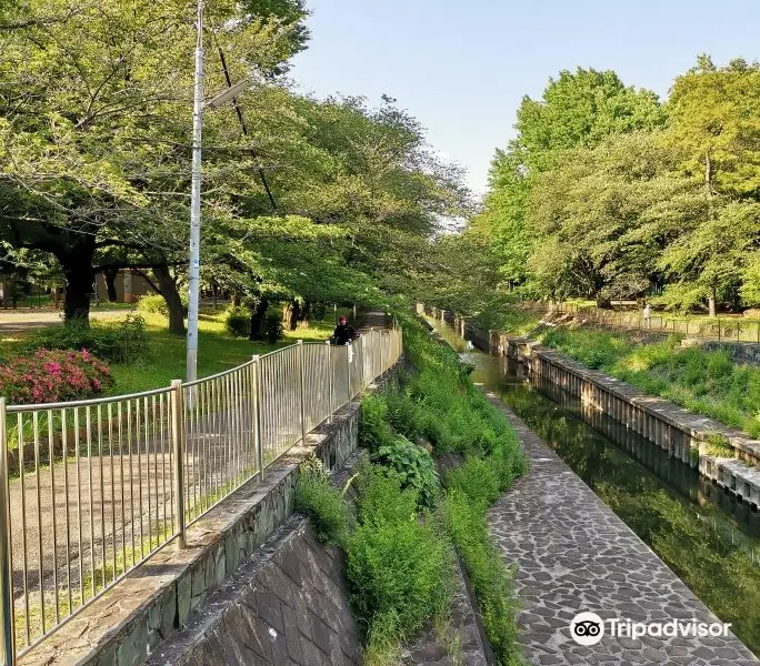 Zempukuji River Green Space