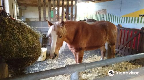 St James City Farm