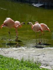 Zoológico Villa Dolores