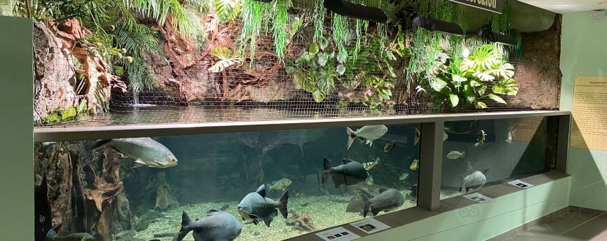 Exotarium