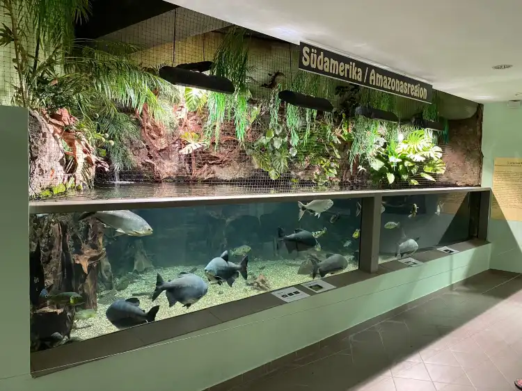 Hotels in der Nähe von Exotarium Oberhof