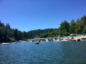 Johnson's Beach