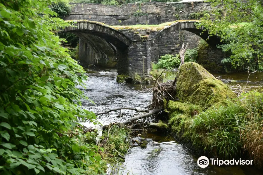 Pont Minllyn