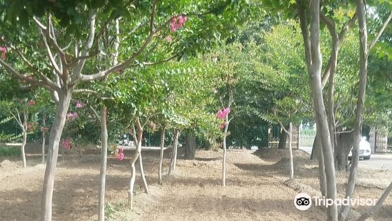 HanGuo FengQing ShangYeJie