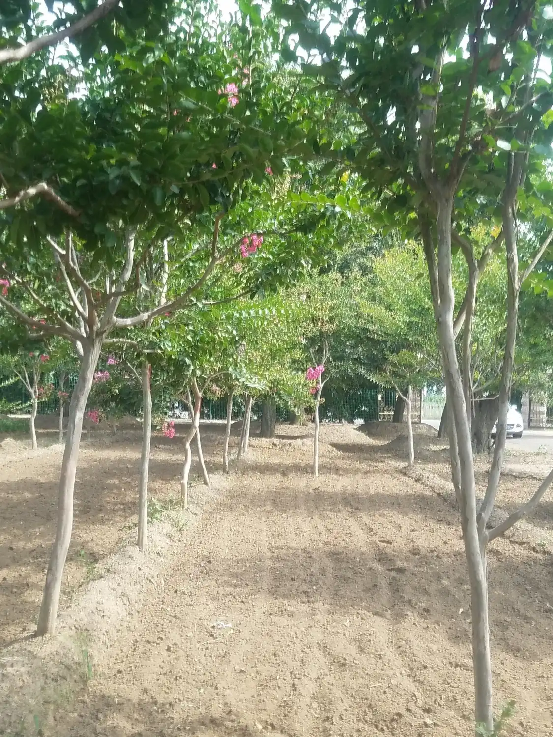 โรงแรมใกล้ถนนสายธุรกิจสไตล์เกาหลี