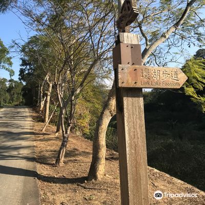 Tongjing Forest Trail