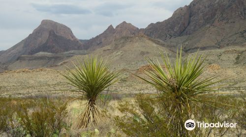 Sotol Vista Overlook