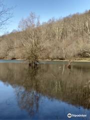 Lac de Mondely