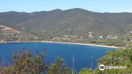 Spiaggia di Lacona