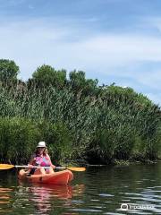 Oceanport Paddle Club