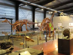 Musee des Dinosaures 'Dinosauria'