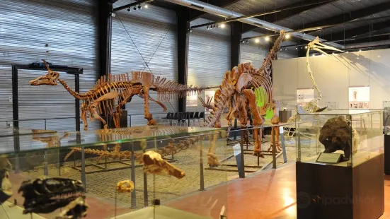 Musee des Dinosaures 'Dinosauria'