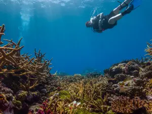 National Marine Sanctuary of American Samoa