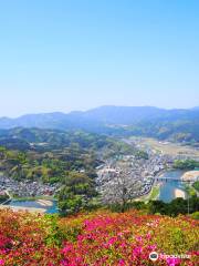 Tomisuyama Park