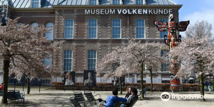 萊登民族學博物館