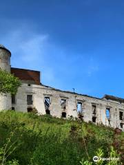 The Castle in Janowiec on the Vistula