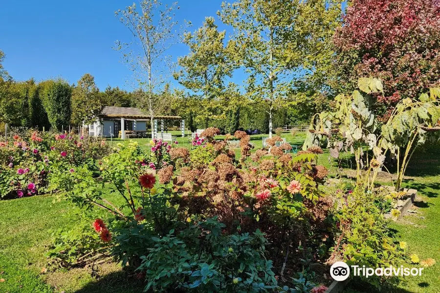 Jamesport Vineyards Little Oak Wood Fired Kitchen Opening Hours