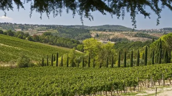 Ruffino - Tenuta di Poggio Casciano