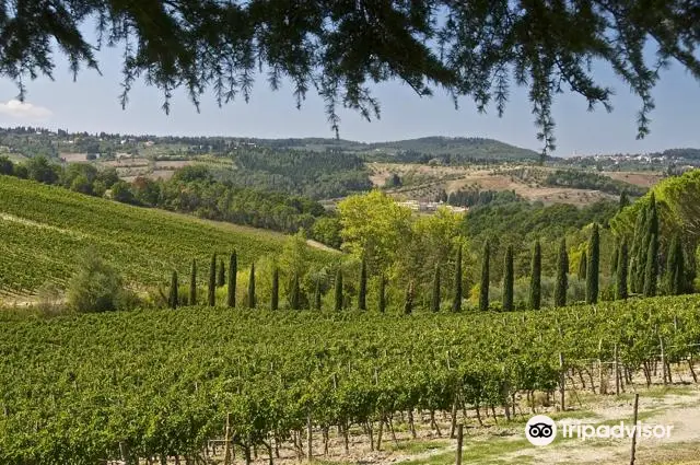 Ruffino - Tenuta di Poggio Casciano