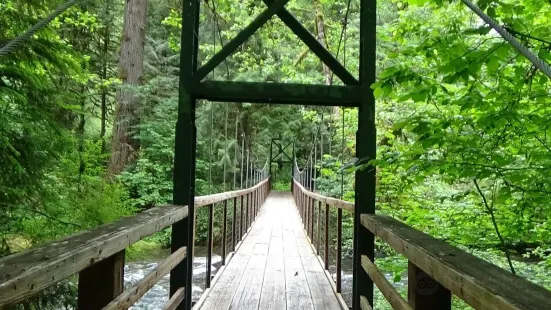 Eagle Fern Park