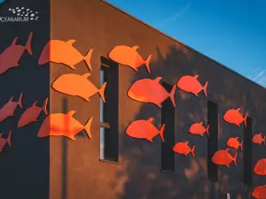 Oceanarium