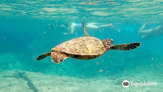 North Shore Catamaran Charters