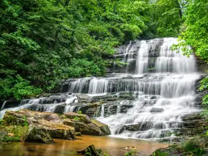 Pearson's Falls and Glen