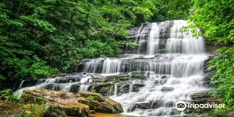 Pearson's Falls and Glen