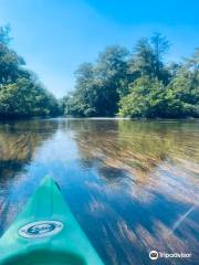 Kayak Vert Canoe