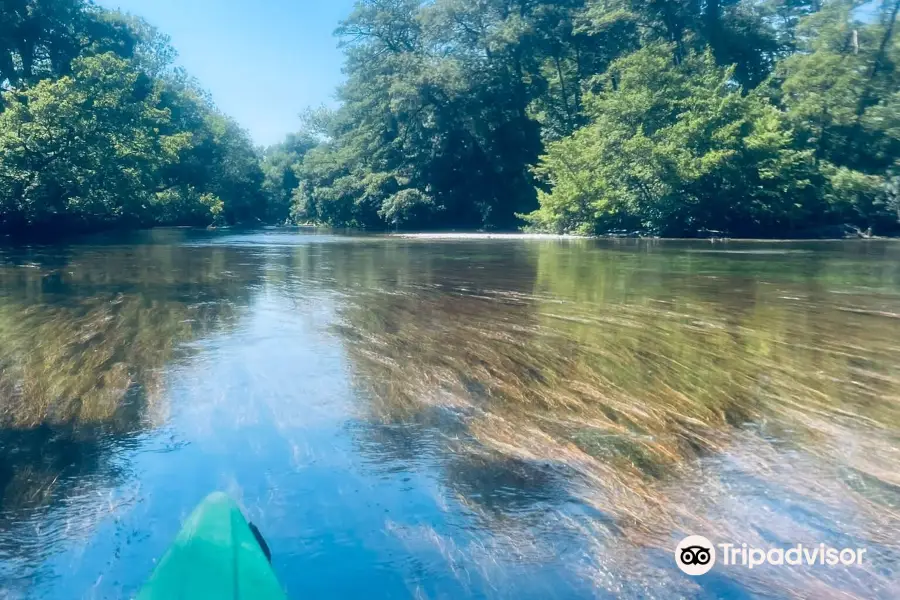 Kayak Vert Canoe