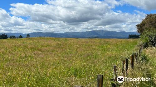 Tongariro River Trail