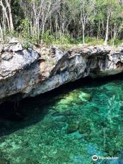 Cenotes Casa Tortuga Tulum